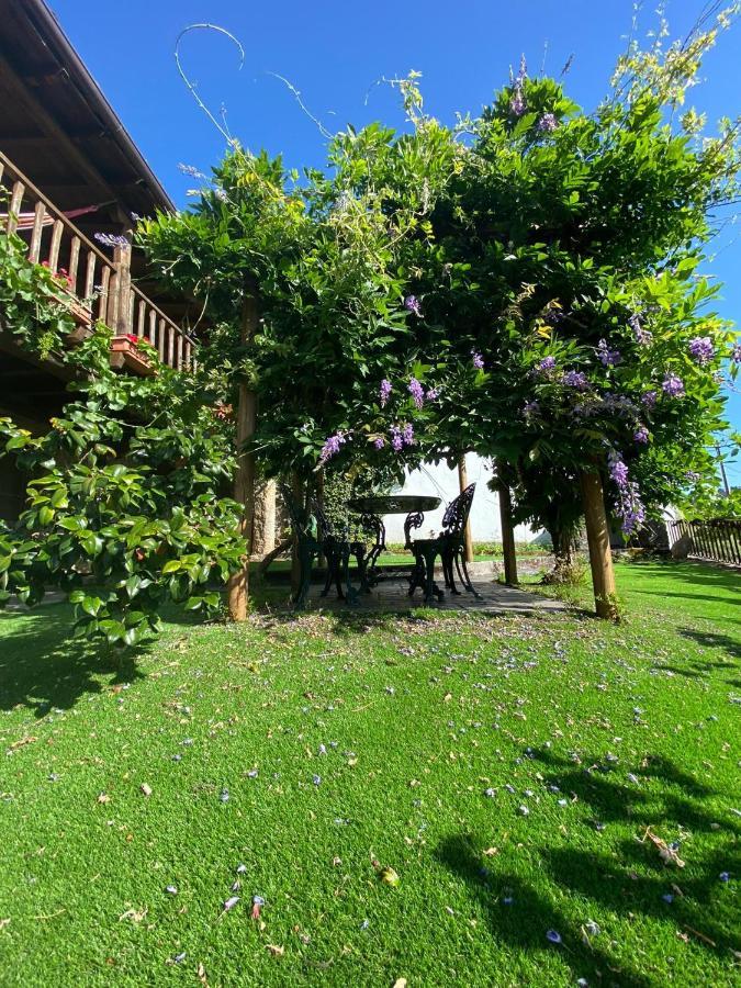 בית הארחה Bragança 	Casa Do Pomar מראה חיצוני תמונה