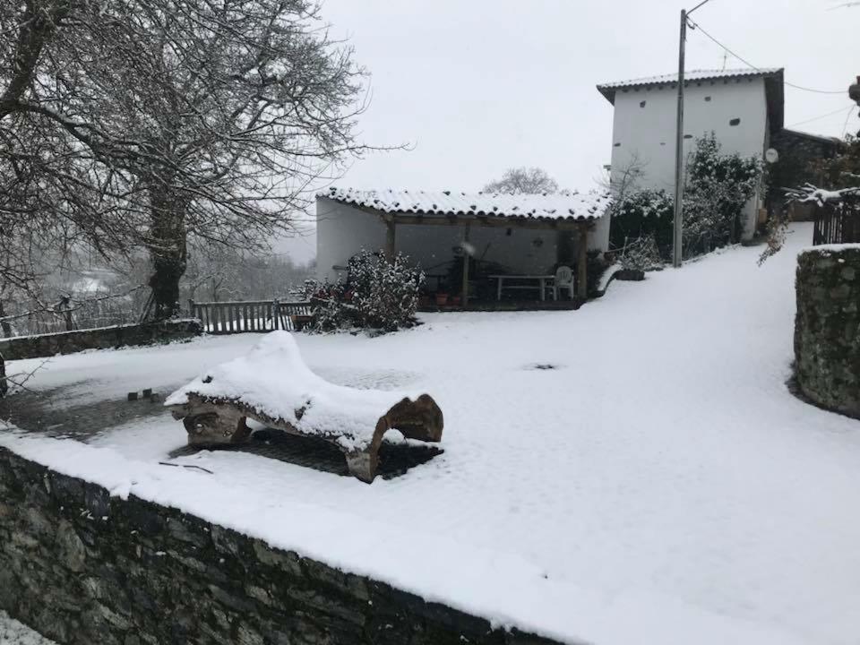 בית הארחה Bragança 	Casa Do Pomar מראה חיצוני תמונה